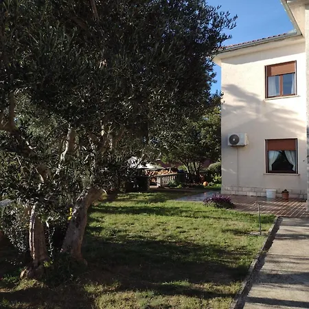 Apartman Anchi *